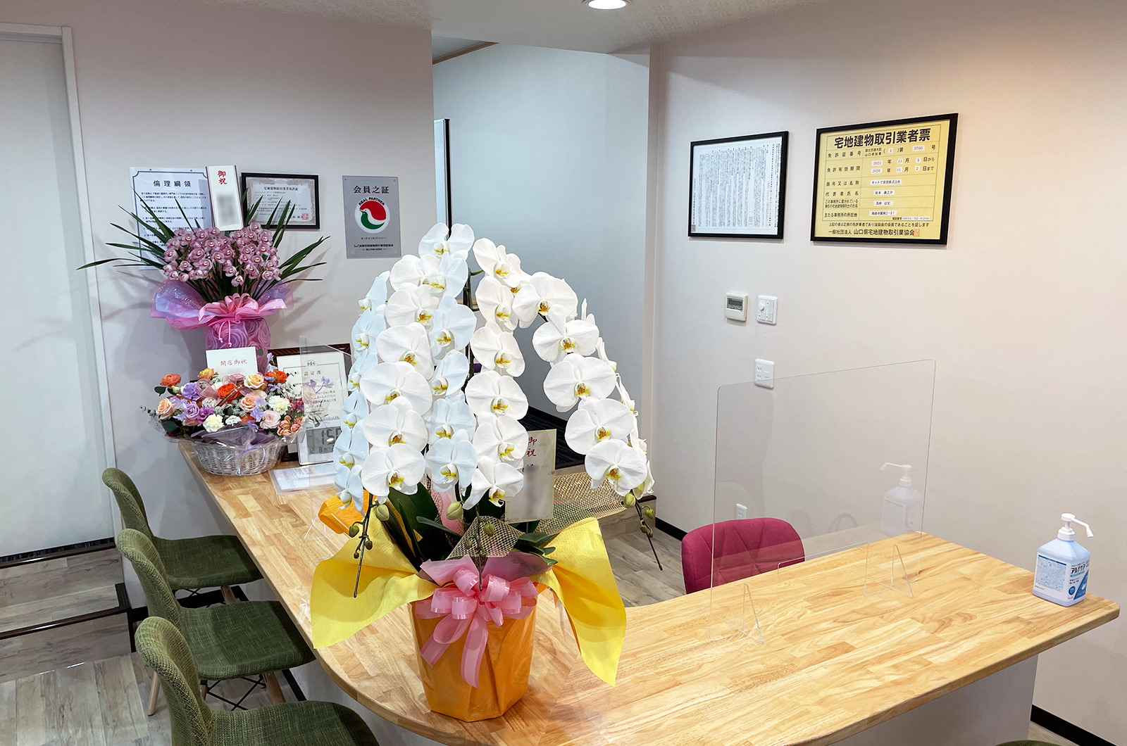 �z�[�����C�gFC���R�w�O�X�C���[�W